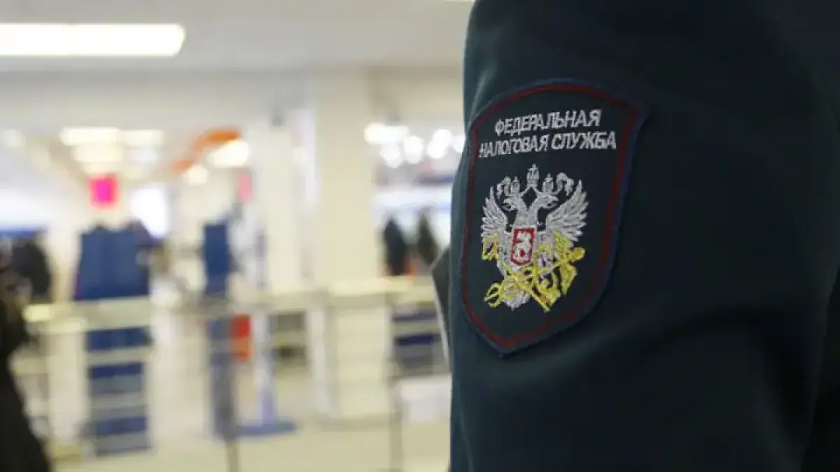 Каждого миллионера налоговая проверит отдельно. Отсчет пошел.