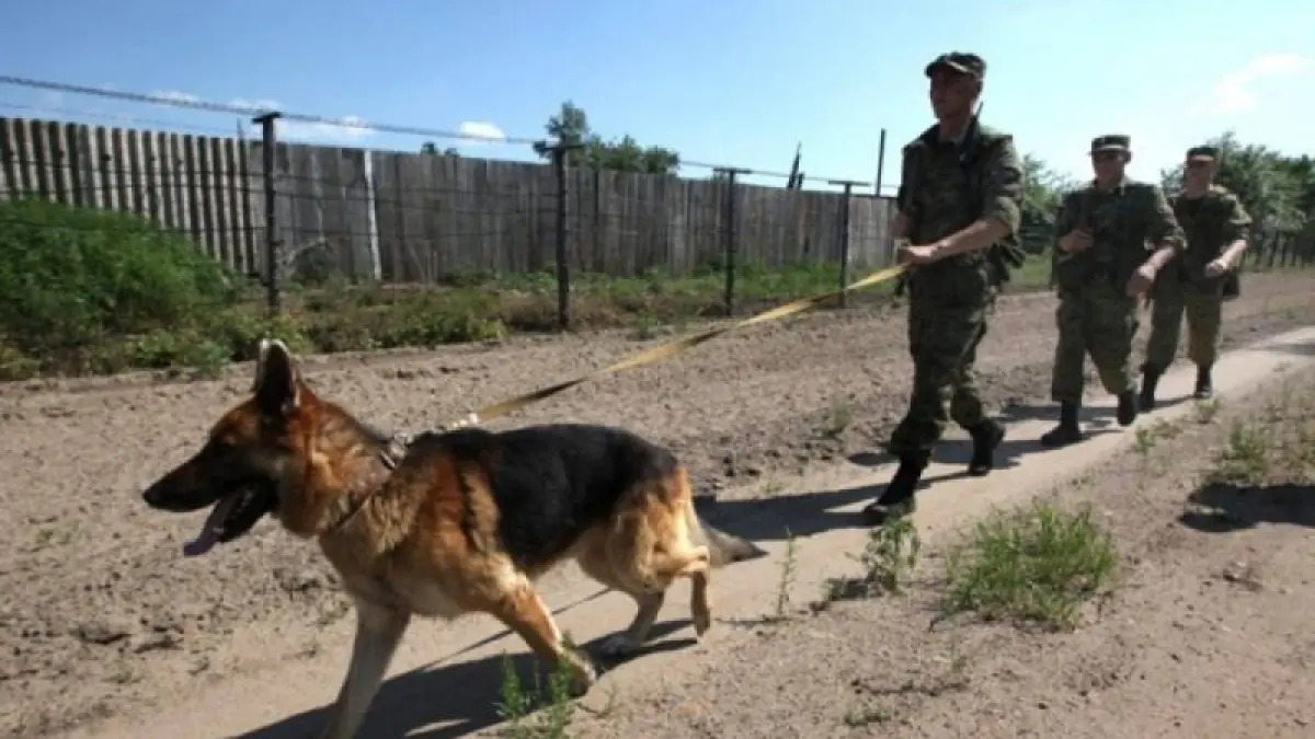 Пограничники Узбекистана ранили гражданина Кыргызстана