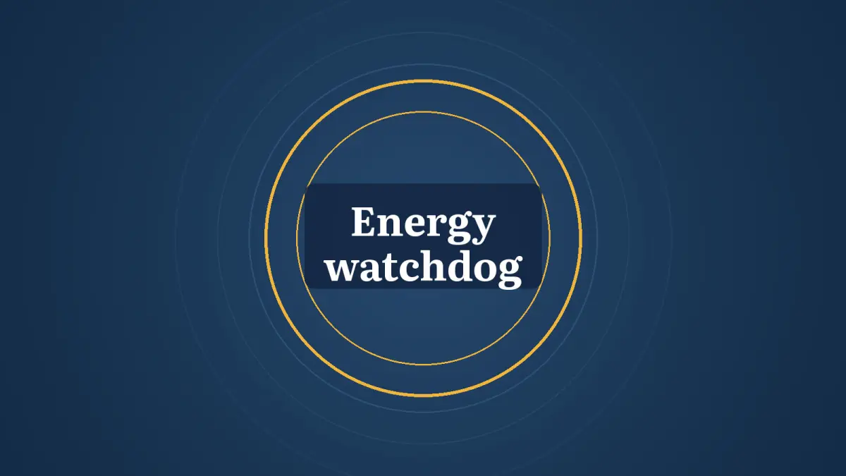 Graphic: rings and the words Energy watchdog
