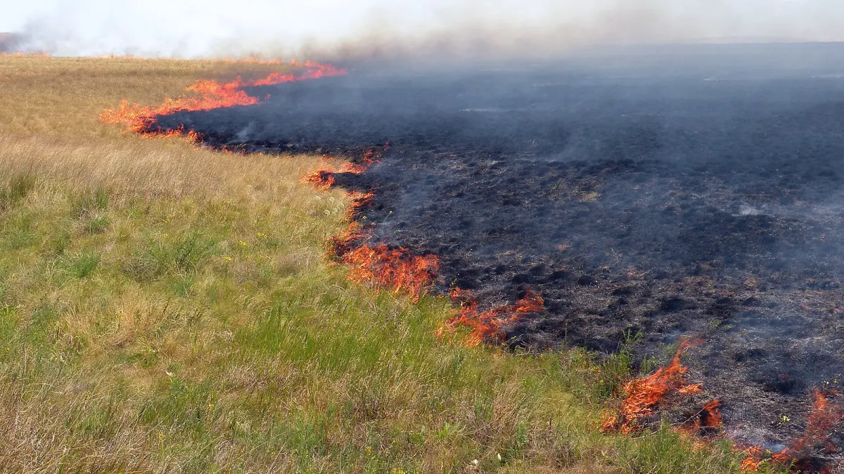 A steppe fire in the Akmola region