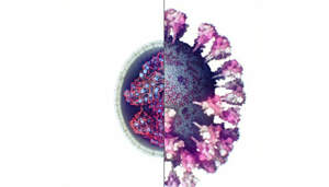 Первое реальное 3D-изображение коронавируса сделано учеными. Видео 