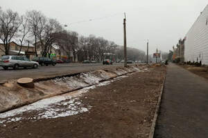 Токаев возмутился продолжающейся вырубкой деревьев в Алматы 