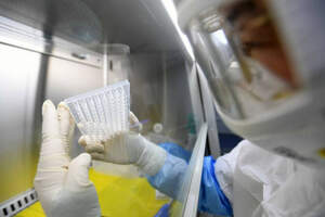 Уже 49 случаев заражения коронавирусом в Казахстане. Двое больных в Караганде 