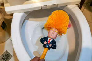 Ершик с Трампом или топ-16 оригинальных туалетов планеты 