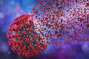 Иммунитет от COVID-19 может формироваться без антител — сенсационное открытие ученых 