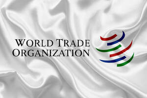 Казахстан отменил конференцию ВТО. Ближайшие полгода — тишина 
