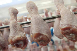 Казахстан ограничил импорт мяса птицы из Украины 