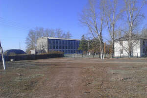 Сельскую учительницу изнасиловали прямо возле школы в Павлодарской области 