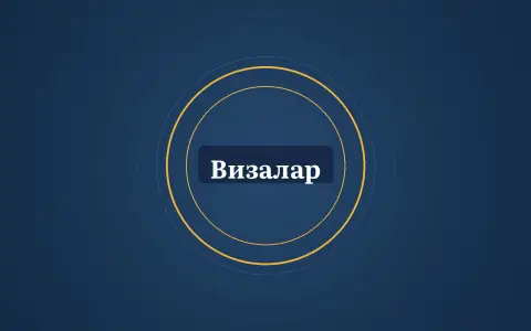 Графика: шеңберлер және «Визалар» деген жазу