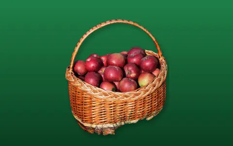 Корзина яблок