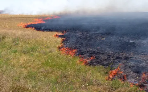 Степной пал в Акмолинской области