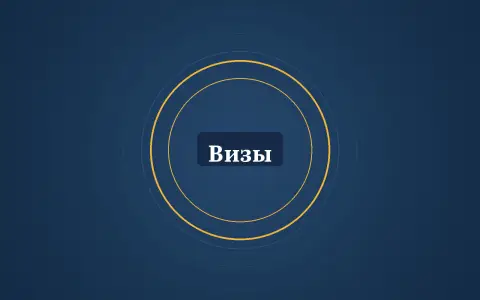 Графика: кольца и надпись «Визы»