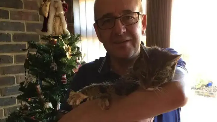 Новогоднее чудо: пропавший британский кот вернулся к хозяевам через семь лет