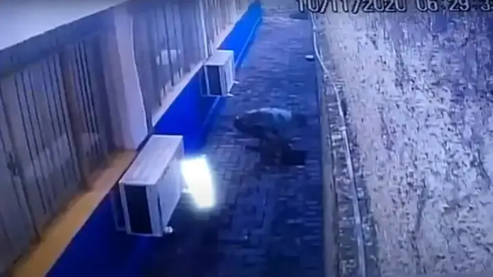 Зэки сбежали из тюрьмы через подкоп — видео из Бразилии