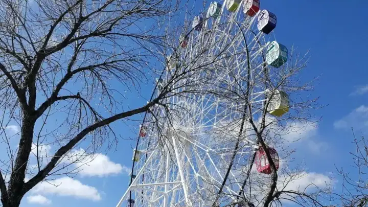 Чертовски дорогое и скандальное колесо обозрения снесут в Рудном