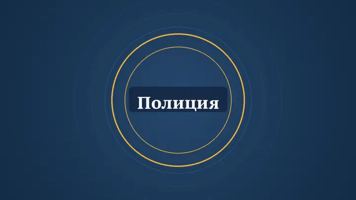 Графика: кольца и надпись «Полиция»