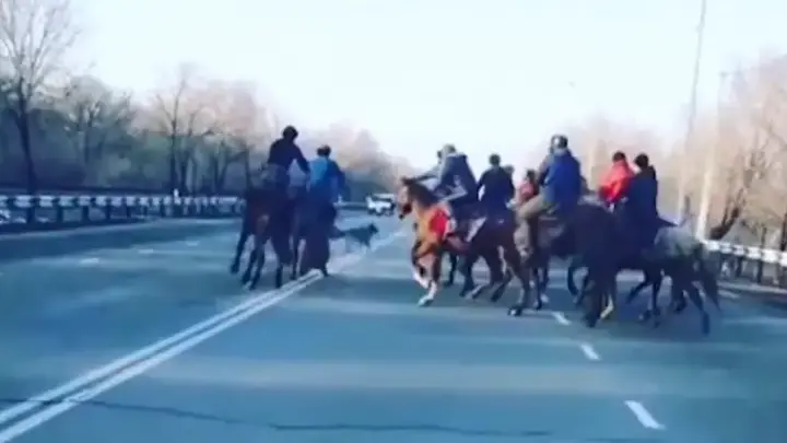 Кокпар устроили прямо на улицах Талдыкоргана