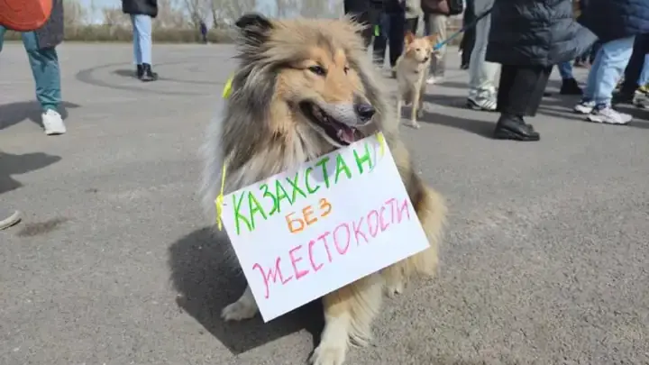 Казахстанцы отказываются от мяса. Художественно