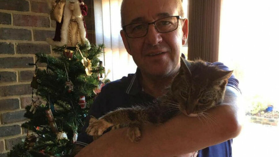 Новогоднее чудо: пропавший британский кот вернулся к хозяевам через семь лет 