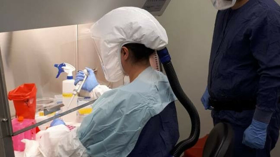 Уже 972 случая коронавируса. Новые 11 больных в Карагандинской области 