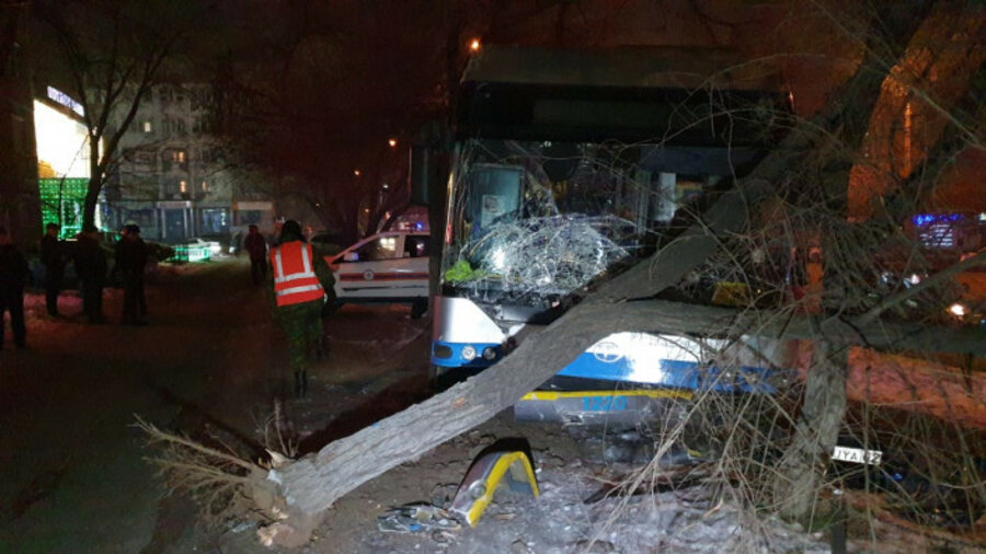 Троллейбус сшиб пешехода и снес дерево в Алматы 