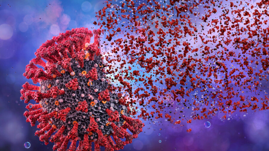 Иммунитет от COVID-19 может формироваться без антител — сенсационное открытие ученых 