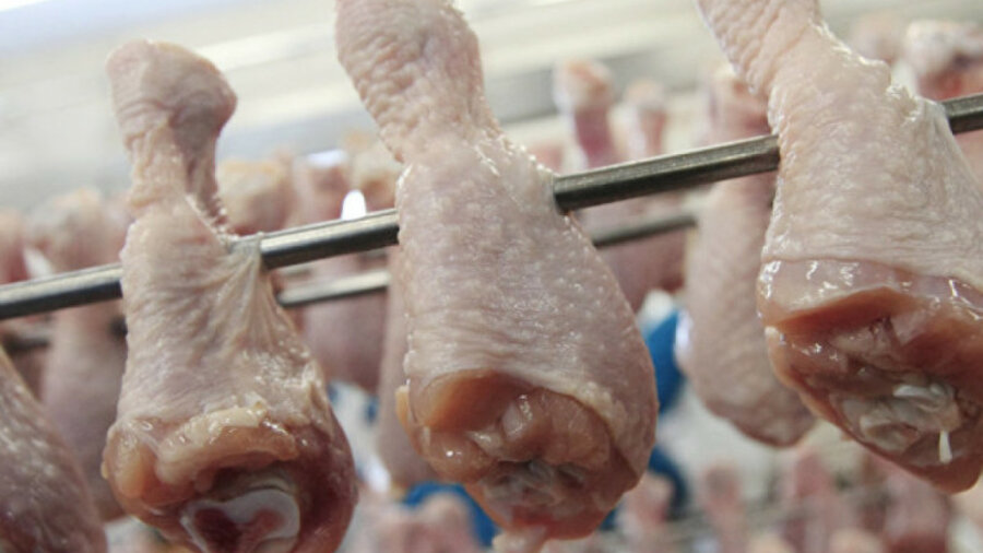 Казахстан ограничил импорт мяса птицы из Украины 